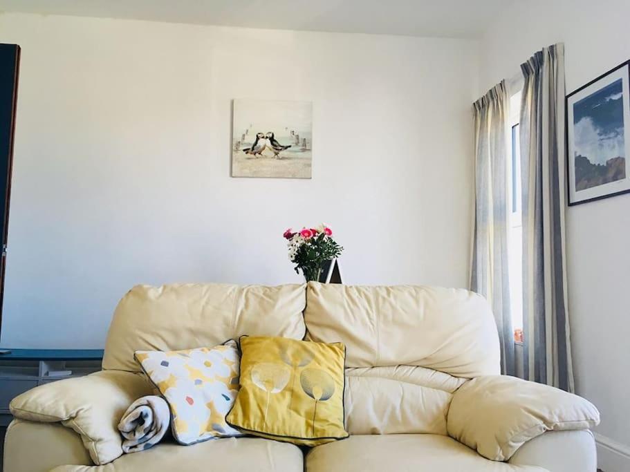 Hillcrest Cottage, Comfy Flat, Trendy Uplands Area Swansea Exterior photo